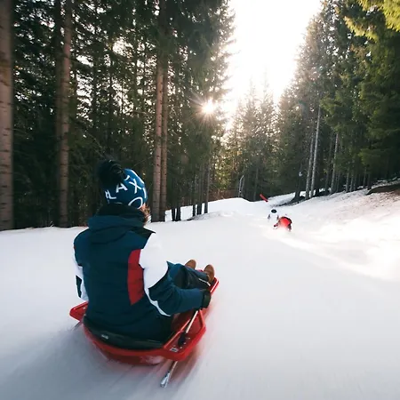 2 Pieces Confortable, Skis Aux Pieds, Proche Commerces - Fr-1-182a-44