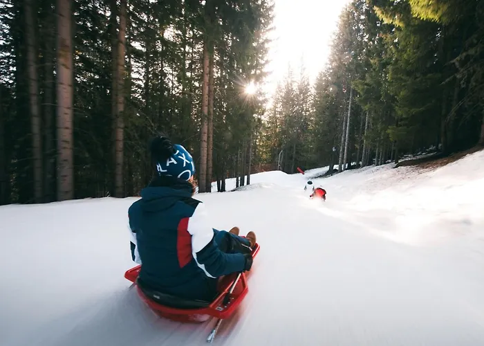 2 Pieces Confortable, Skis Aux Pieds, Proche Commerces - Fr-1-182a-44